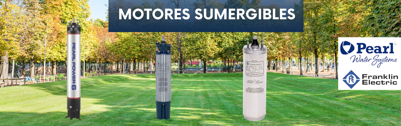 Motores Sumergibles