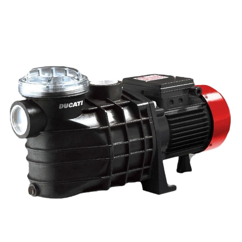 Bomba de Agua para Piscina de 1 a 3 Hp, Ducati